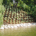 Landscape and Lakeshore Contractors